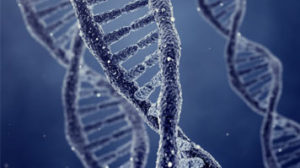 Mondays @ the Mills: Forensic Science – DNA Evidence @ Mills Centre, Highgate School | England | United Kingdom