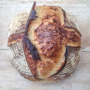 Fermentation and Sourdough Workshop @ OmVed Gardens