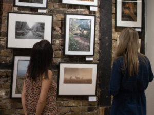 Nowruz Private View and Festival Launch @ Lauderdale House